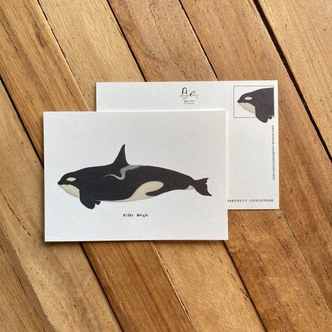 postcard-killerwhale.jpg