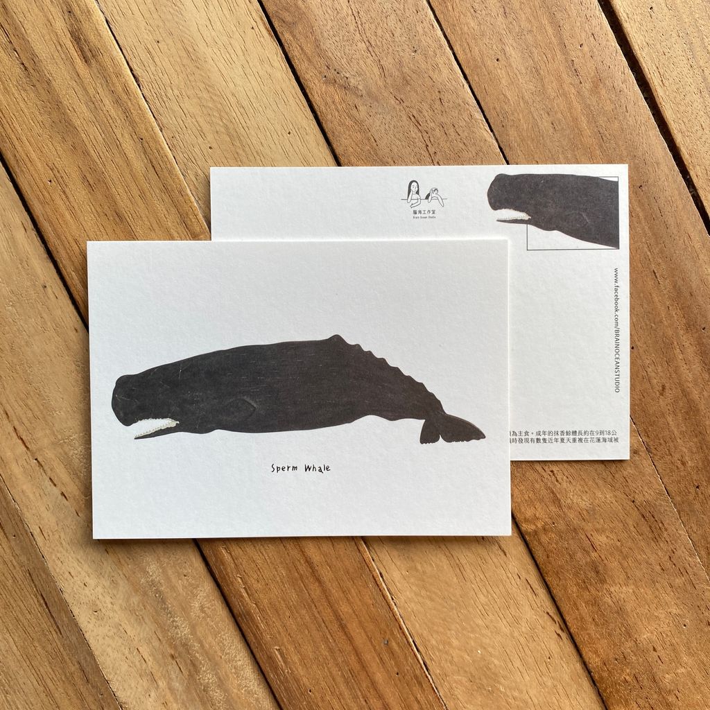 postcard-spermwhale.jpg
