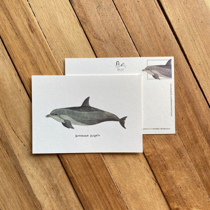 postcard-bottlenosedolphin.jpg