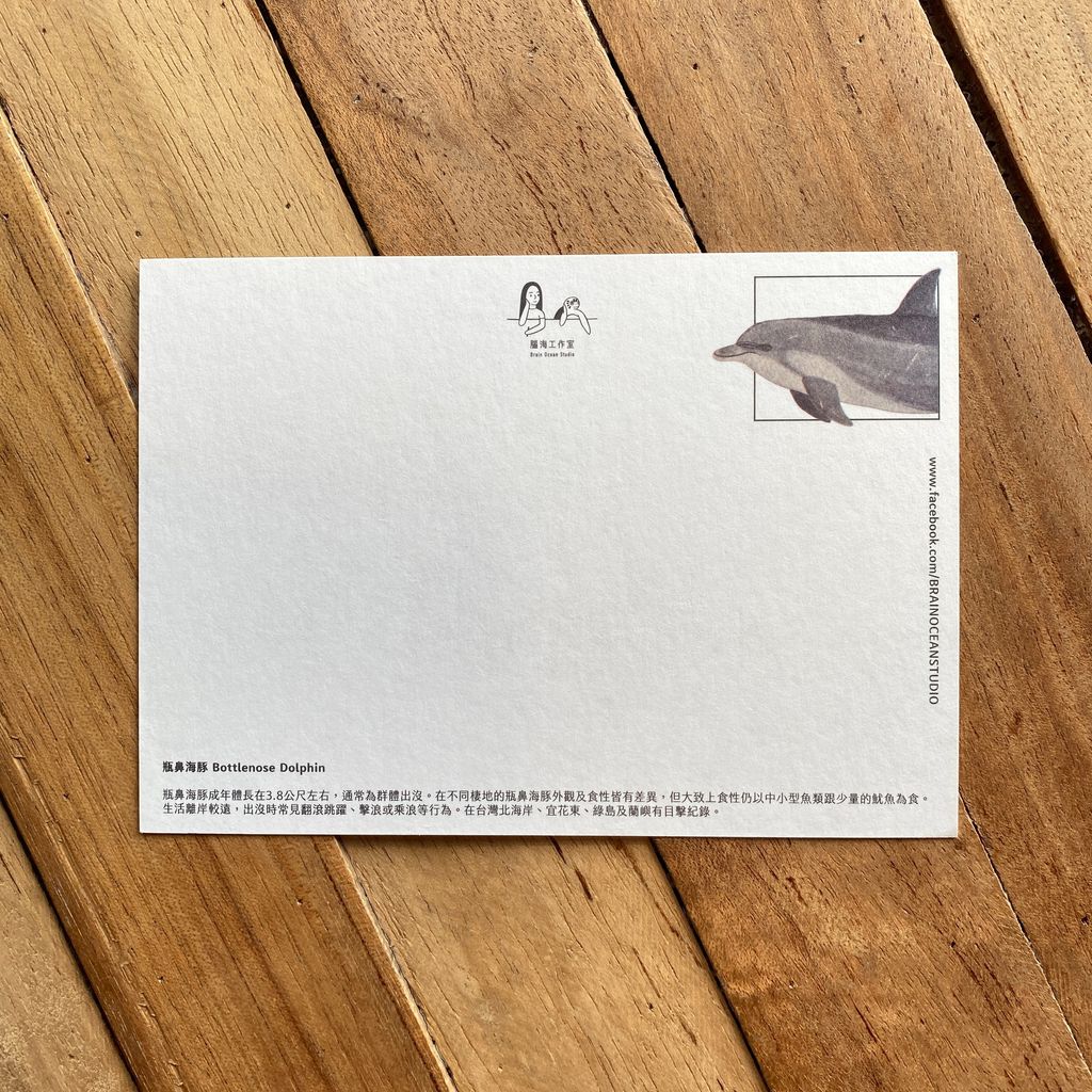 postcard-back-bottlenosedolphin.jpg