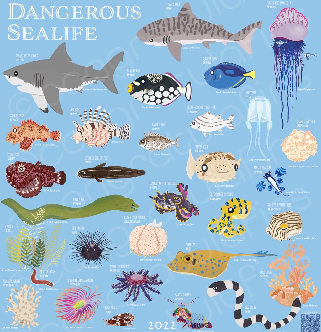 2022-calendar-dangerous-sealife拷貝.jpeg