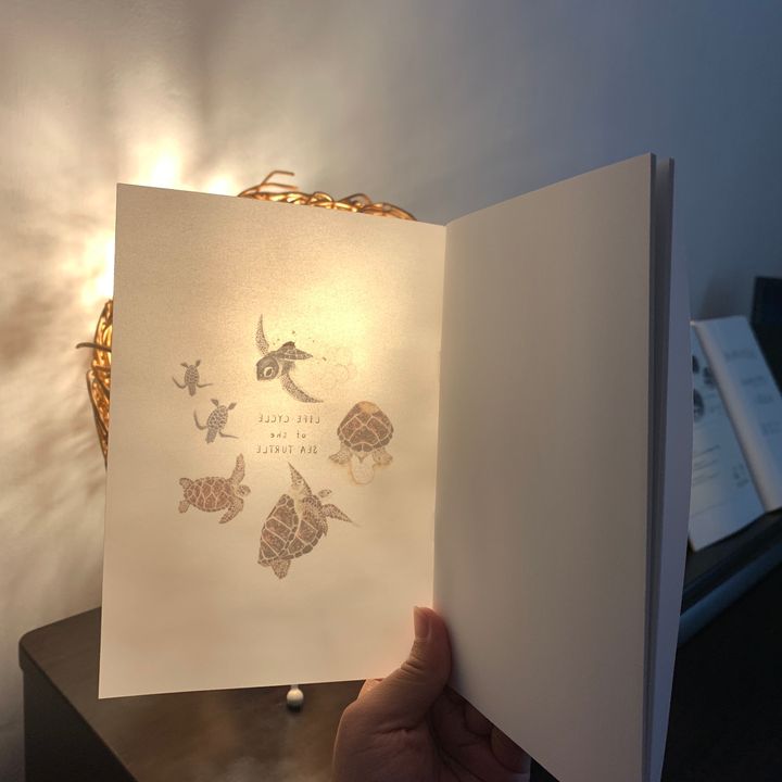 notebook-seaturtle.jpg