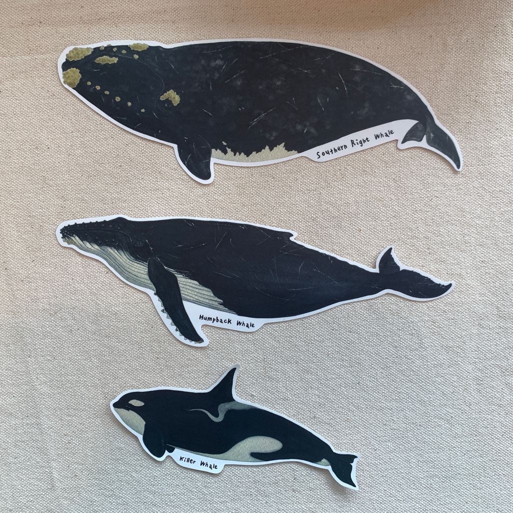 sticker-whales