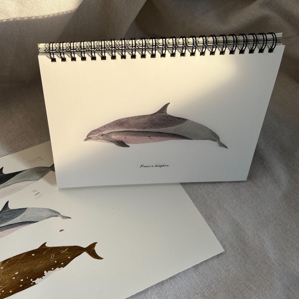 notebook-whales1