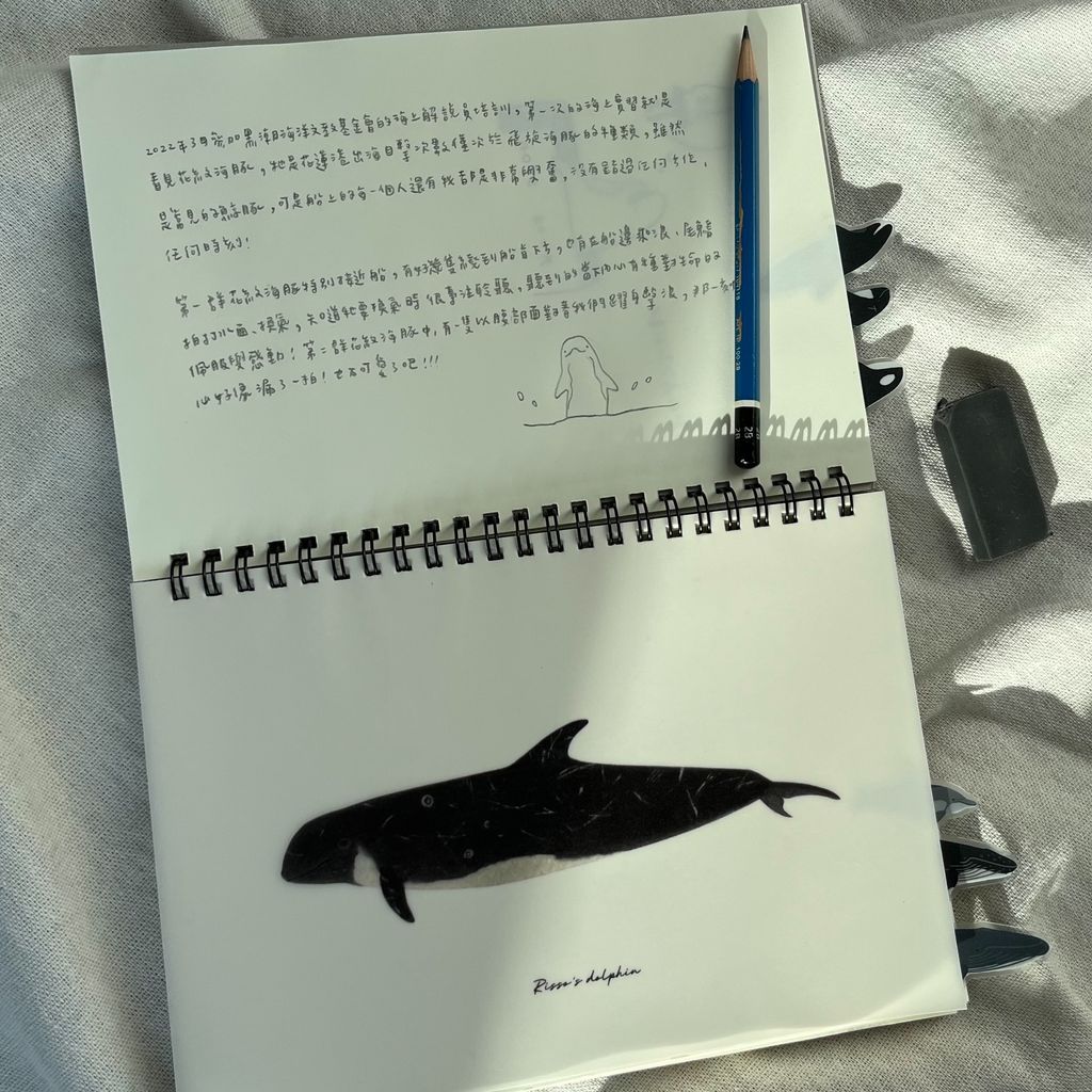 notebook-whales3