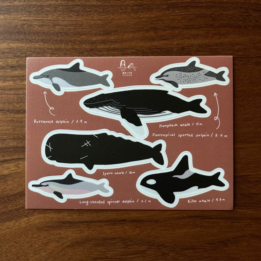 collectionstickers-whales01