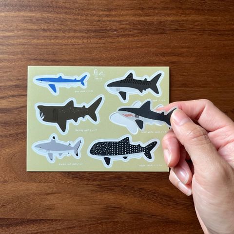 collectionstickers-sharks00