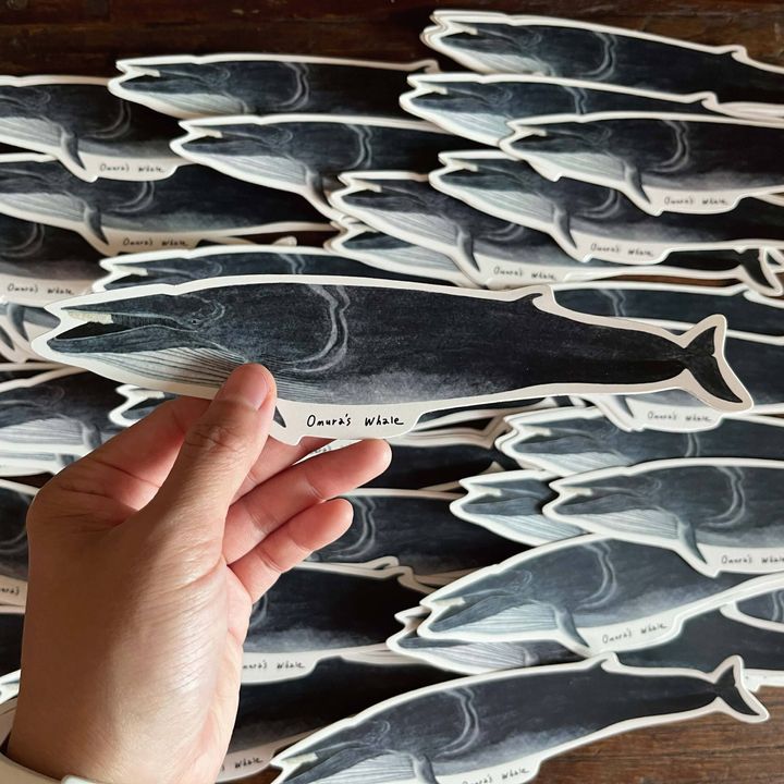 sticker-omuraswhale