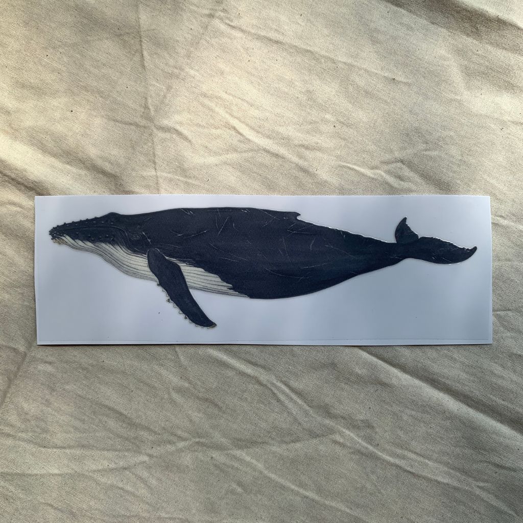 transfersticker-humpbackwhale