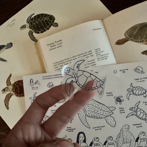 transparentsticker_seaturtle1