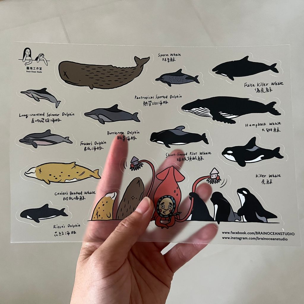 transparentsticker_whales