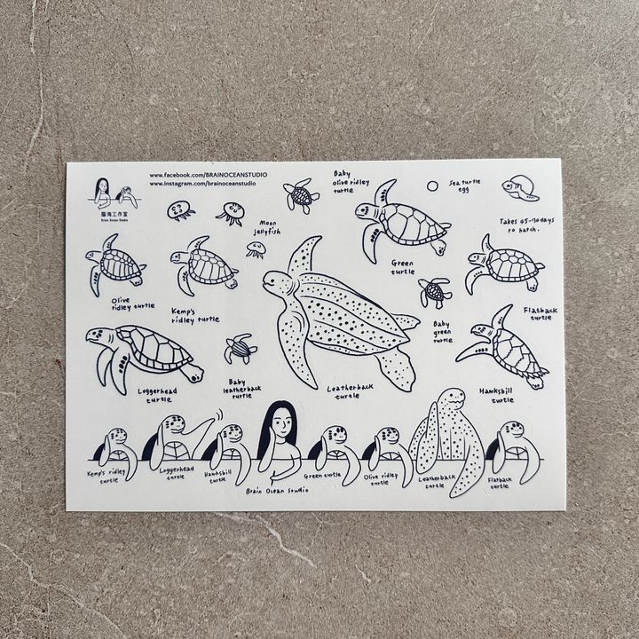 transparentsticker_seaturtle