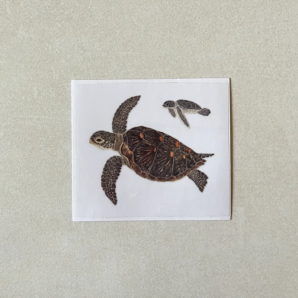 transfersticker-seaturtle
