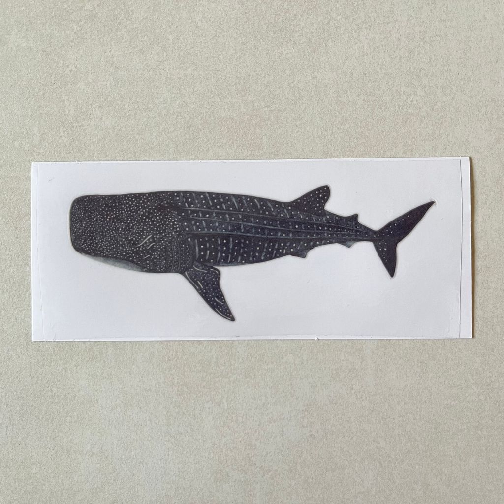 transfersticker-whaleshark