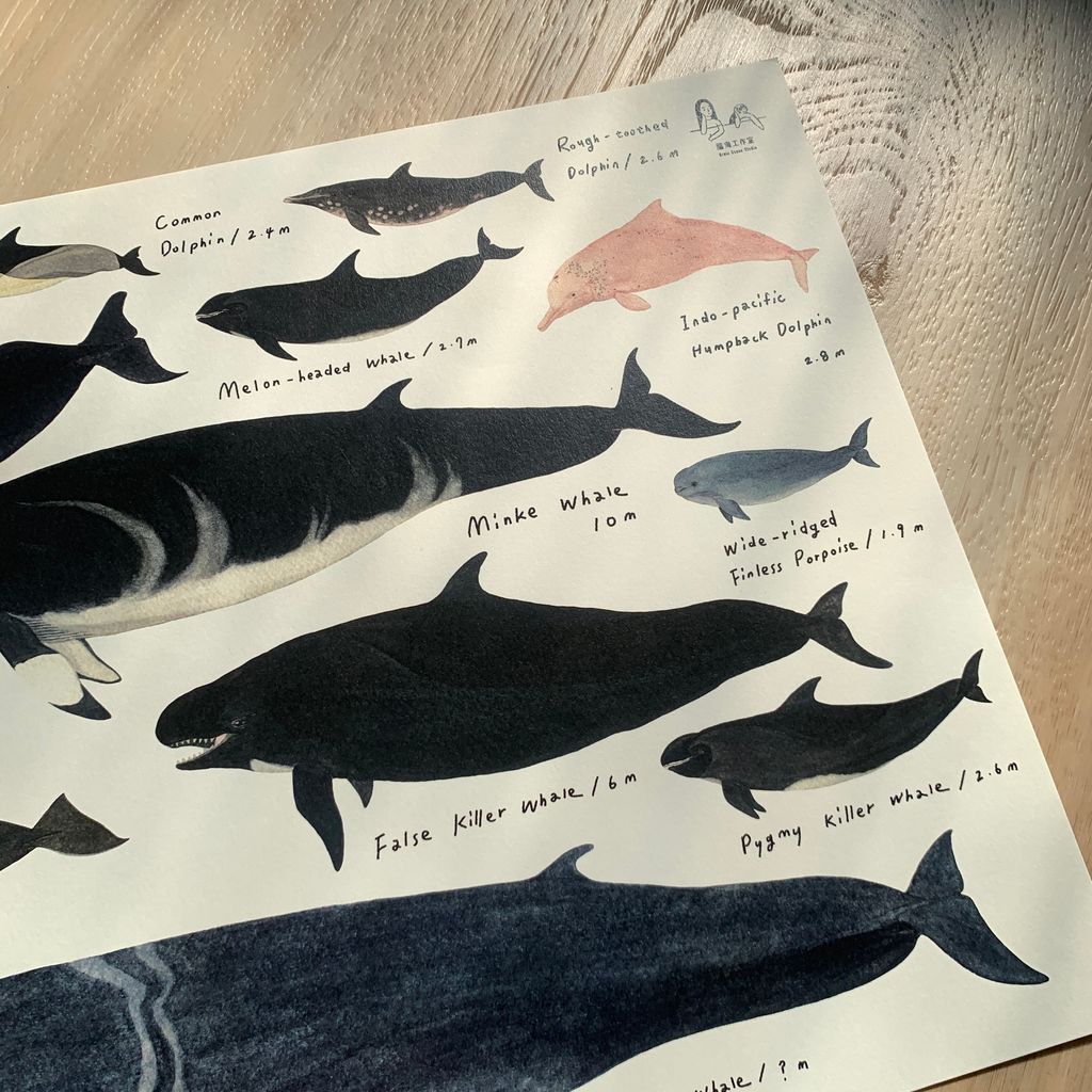 poster-whales2-2