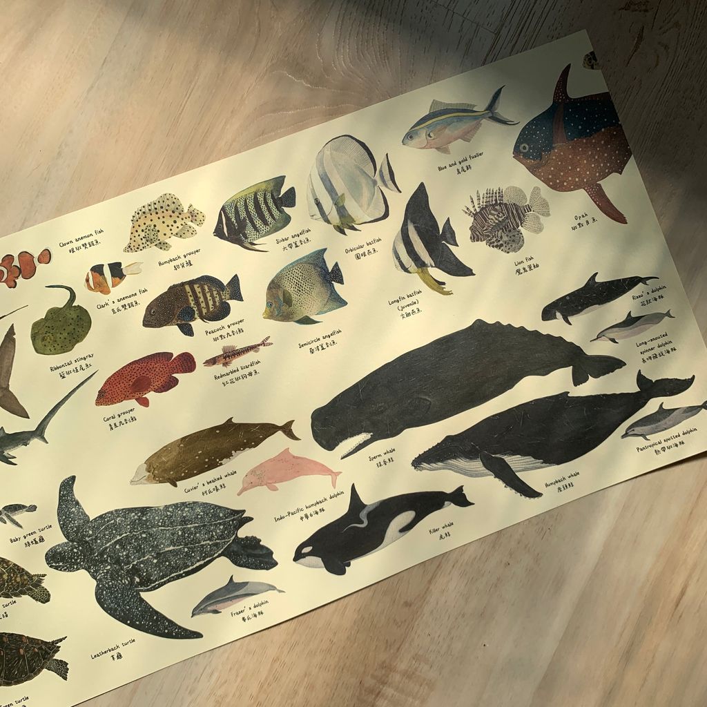 poster-oceanmemory2