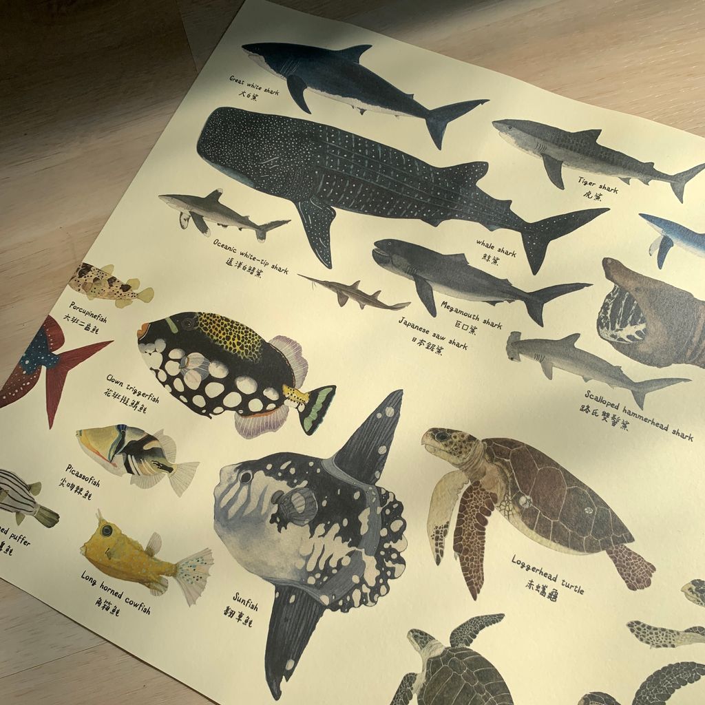 poster-oceanmemory4