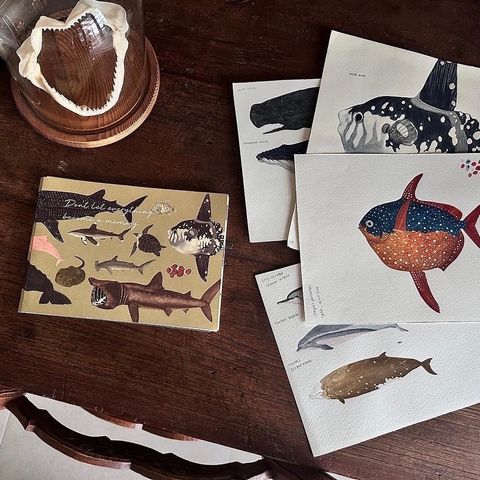 illustratorbook