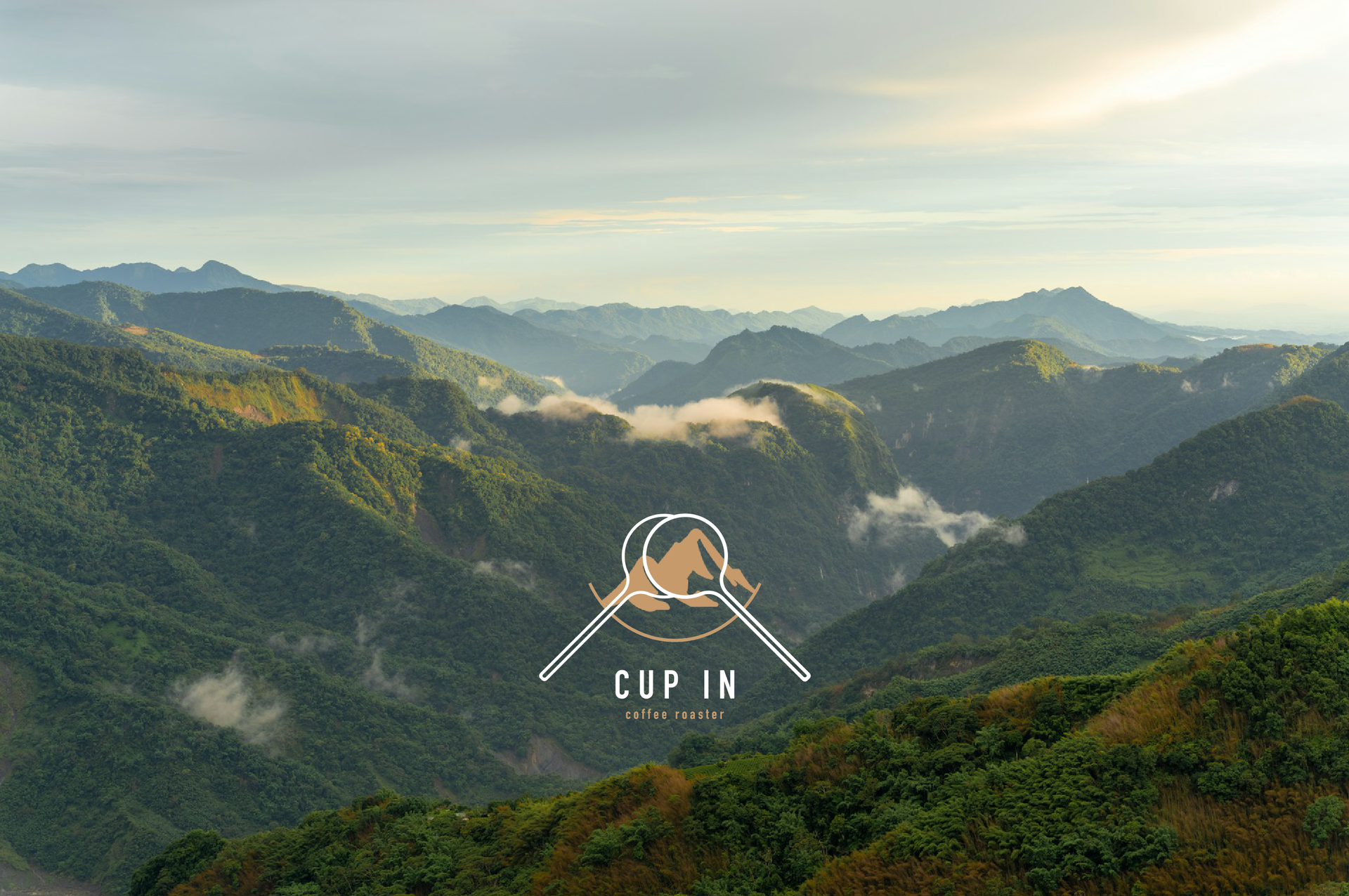 CUP IN | 杯測冠軍咖啡豆 | SCAJ 圓滿落幕