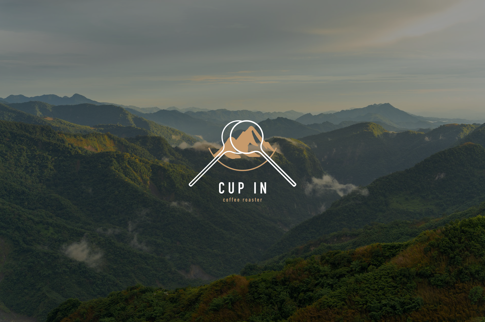 CUP IN | 杯測冠軍咖啡豆 | SCAJ 圓滿落幕