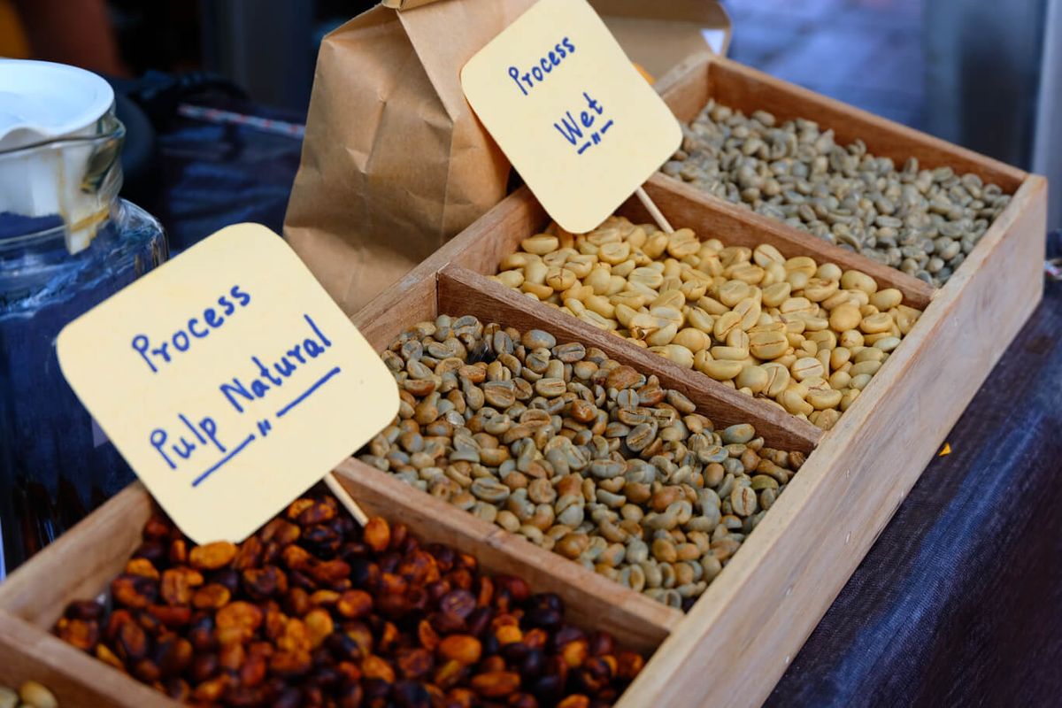 知識分享｜快速認識咖啡豆處理法