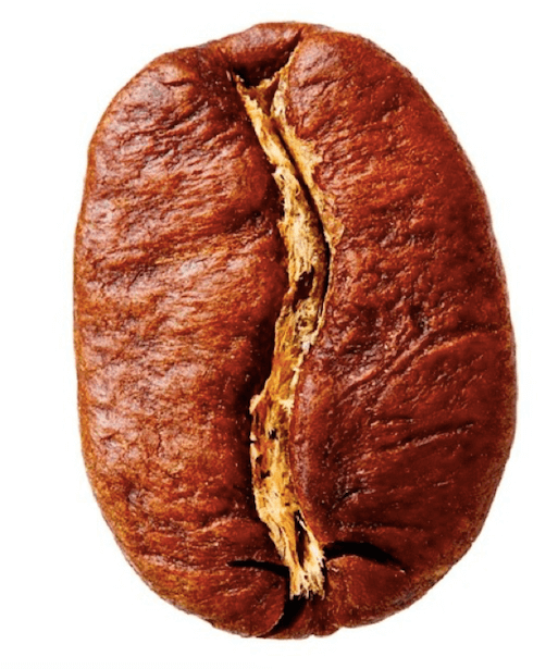 Arabica.png Arabica.png