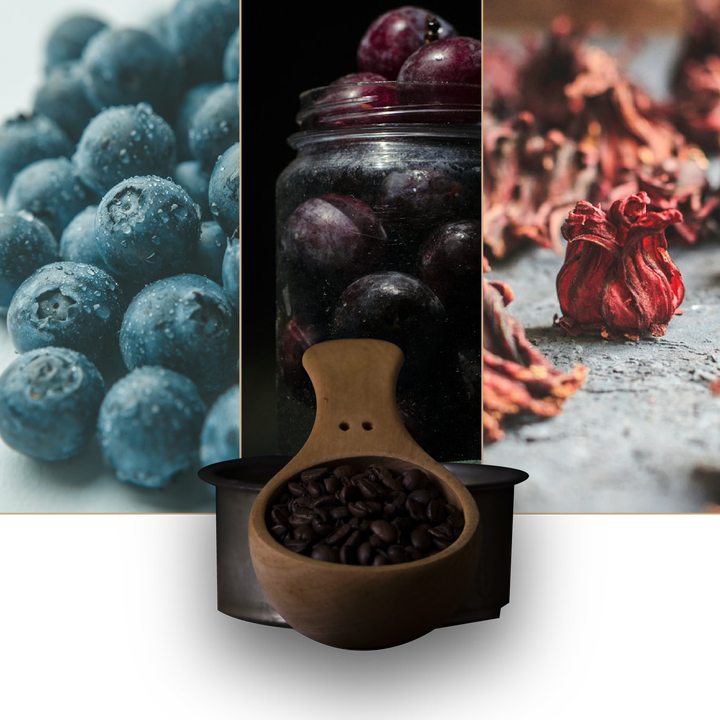 bean-plum-01-01