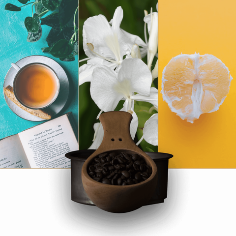 野薑花+伯爵茶+柚子 -01.png