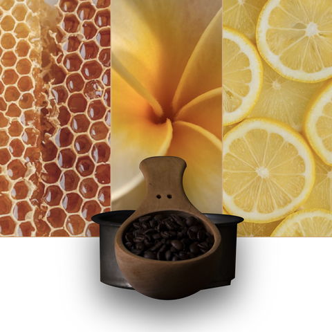 bean-lemon