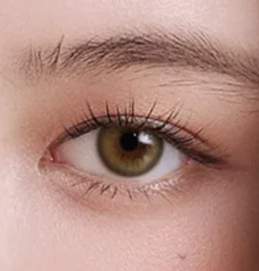 Screenshot 2025-04-12 at 1.52.04 PM