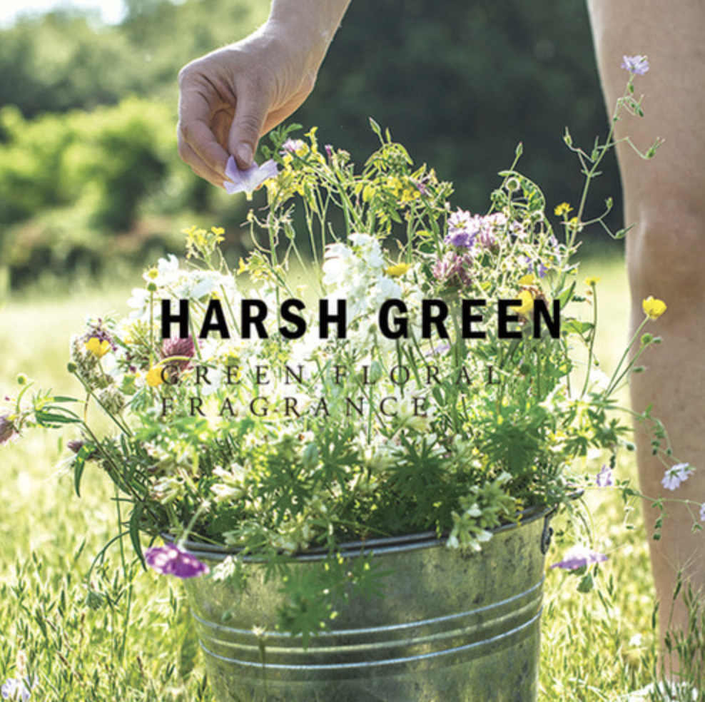 Screenshot 2025-12-08 at 7.04.08 PM