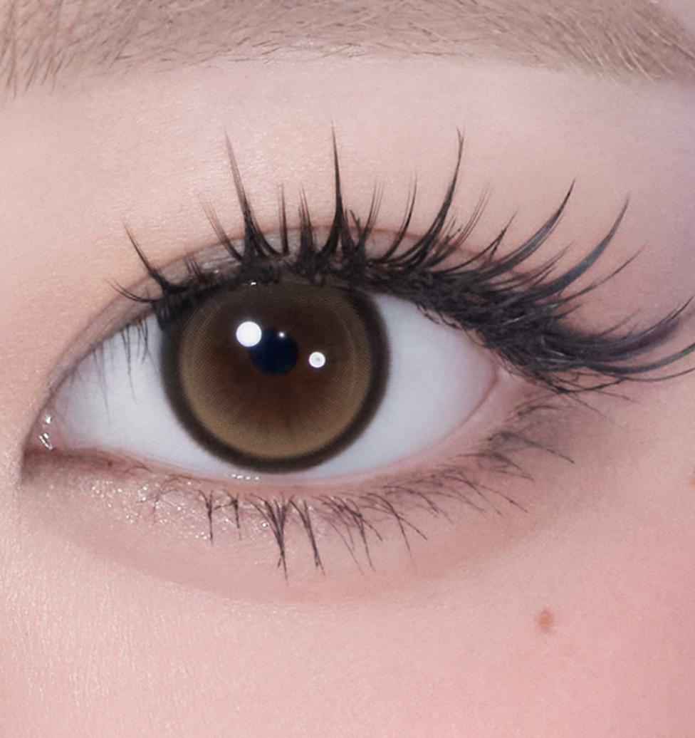 Screenshot 2026-02-14 at 11.26.50 AM