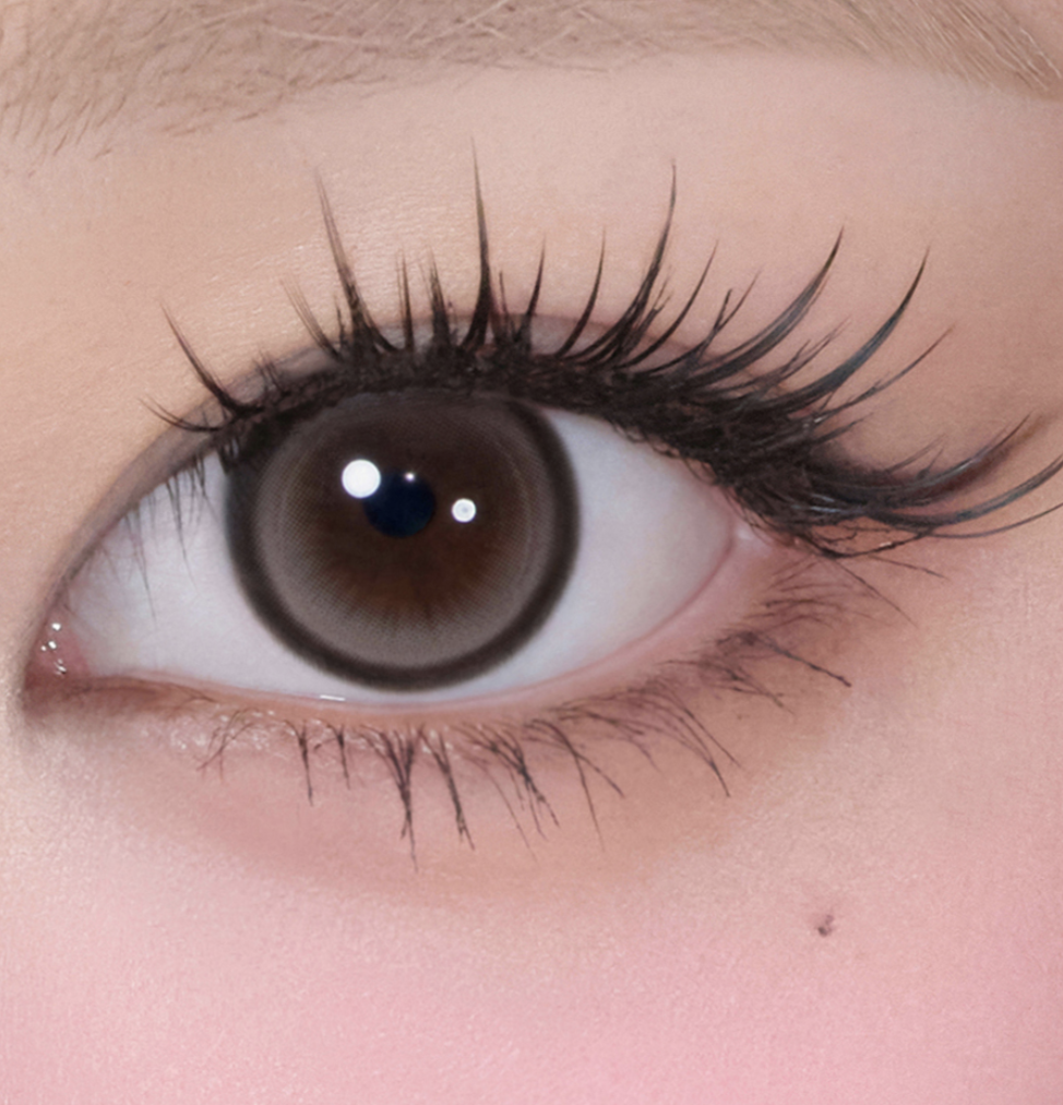 Screenshot 2026-02-14 at 11.26.21 AM