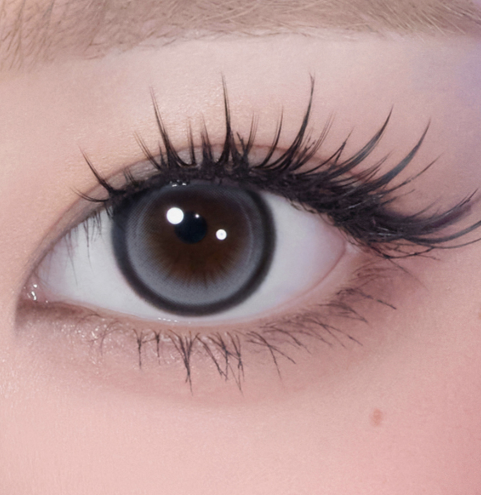 Screenshot 2026-02-14 at 11.25.20 AM