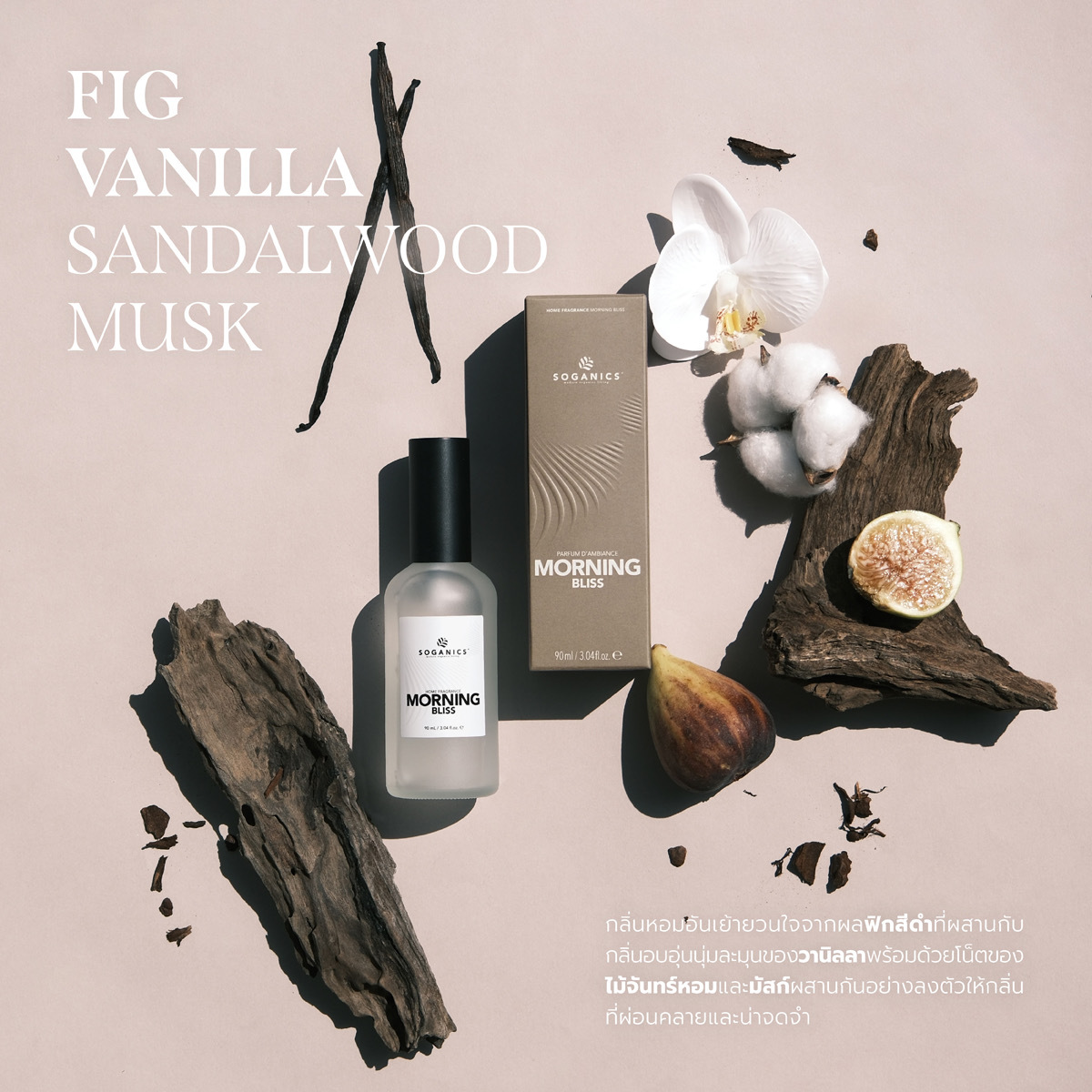 IMG_5889-1730351980089