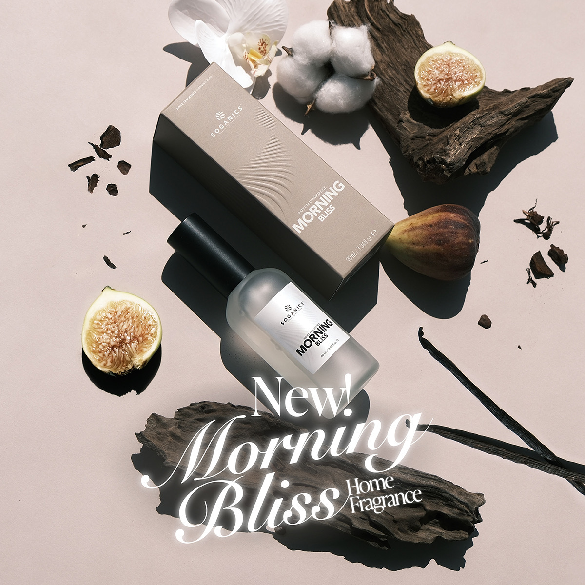 IMG_5888-1730351980096