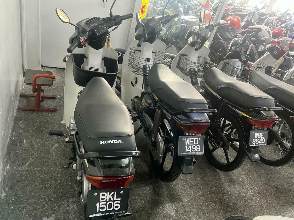 44848081