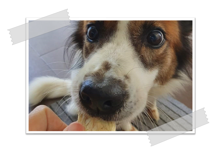 Brownie In Charge - CUSTOMER REVIEWS