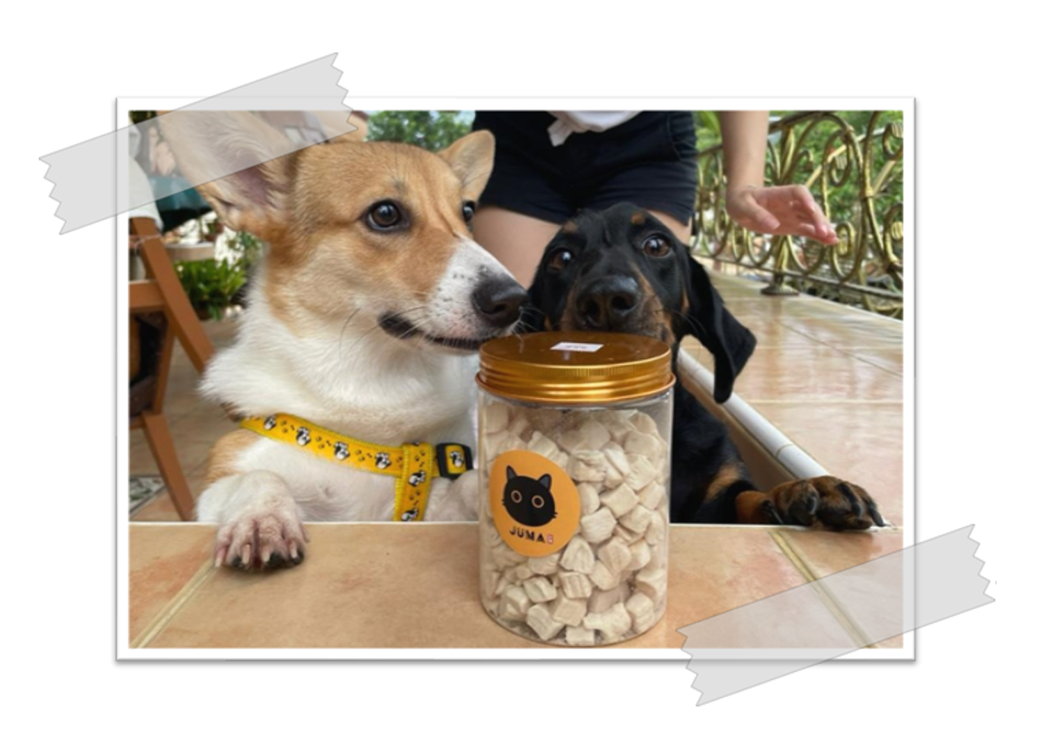 Brownie In Charge - CUSTOMER REVIEWS