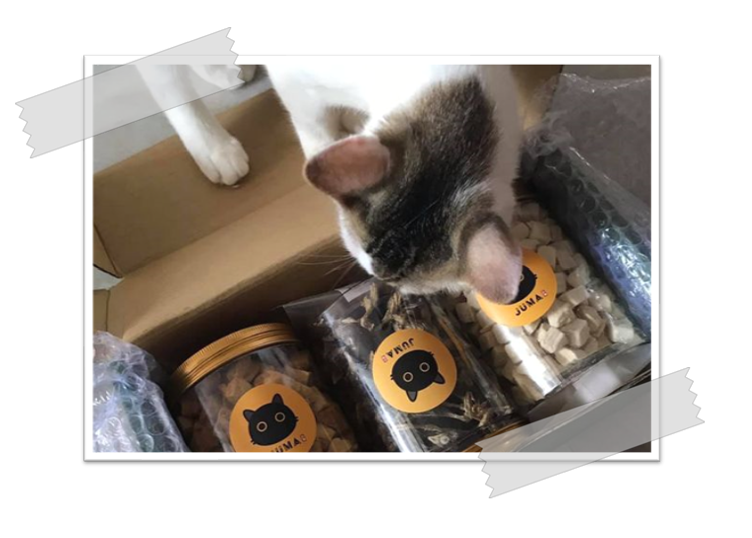 Brownie In Charge - CUSTOMER REVIEWS