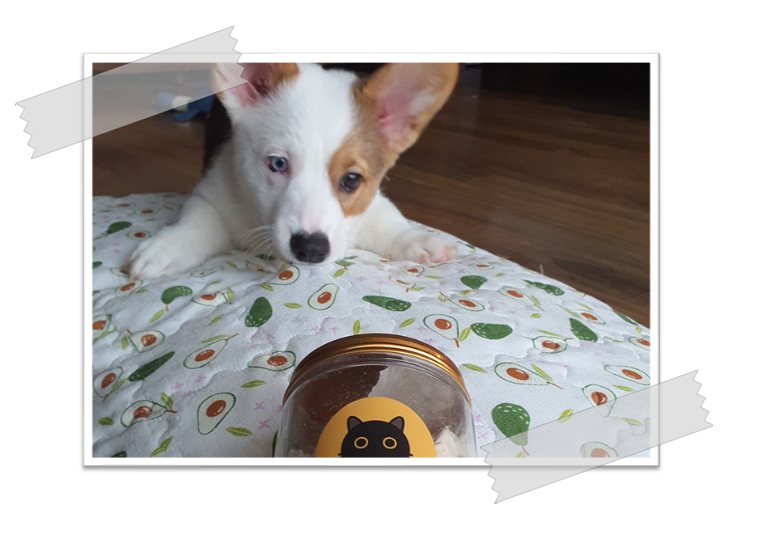 Brownie In Charge - CUSTOMER REVIEWS