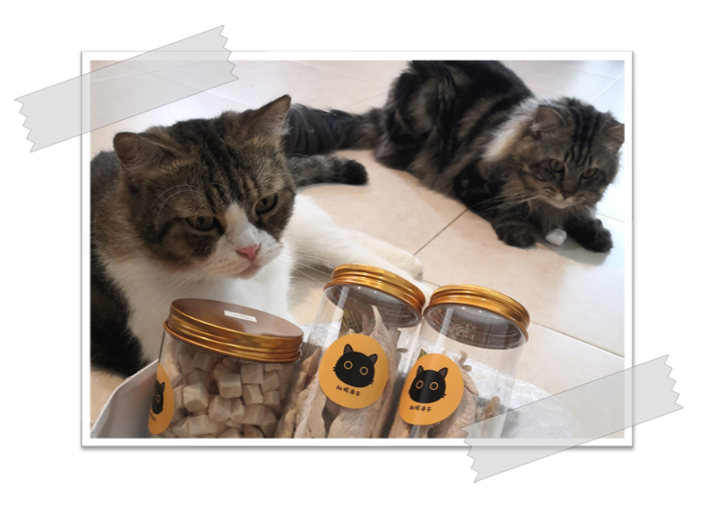 Brownie In Charge - CUSTOMER REVIEWS