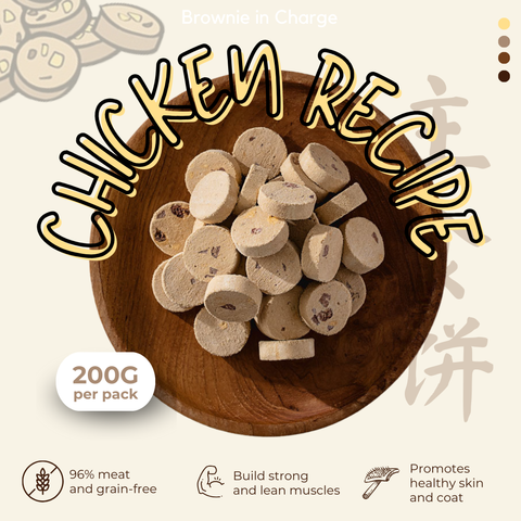 CHICKEN RECIPE 2024