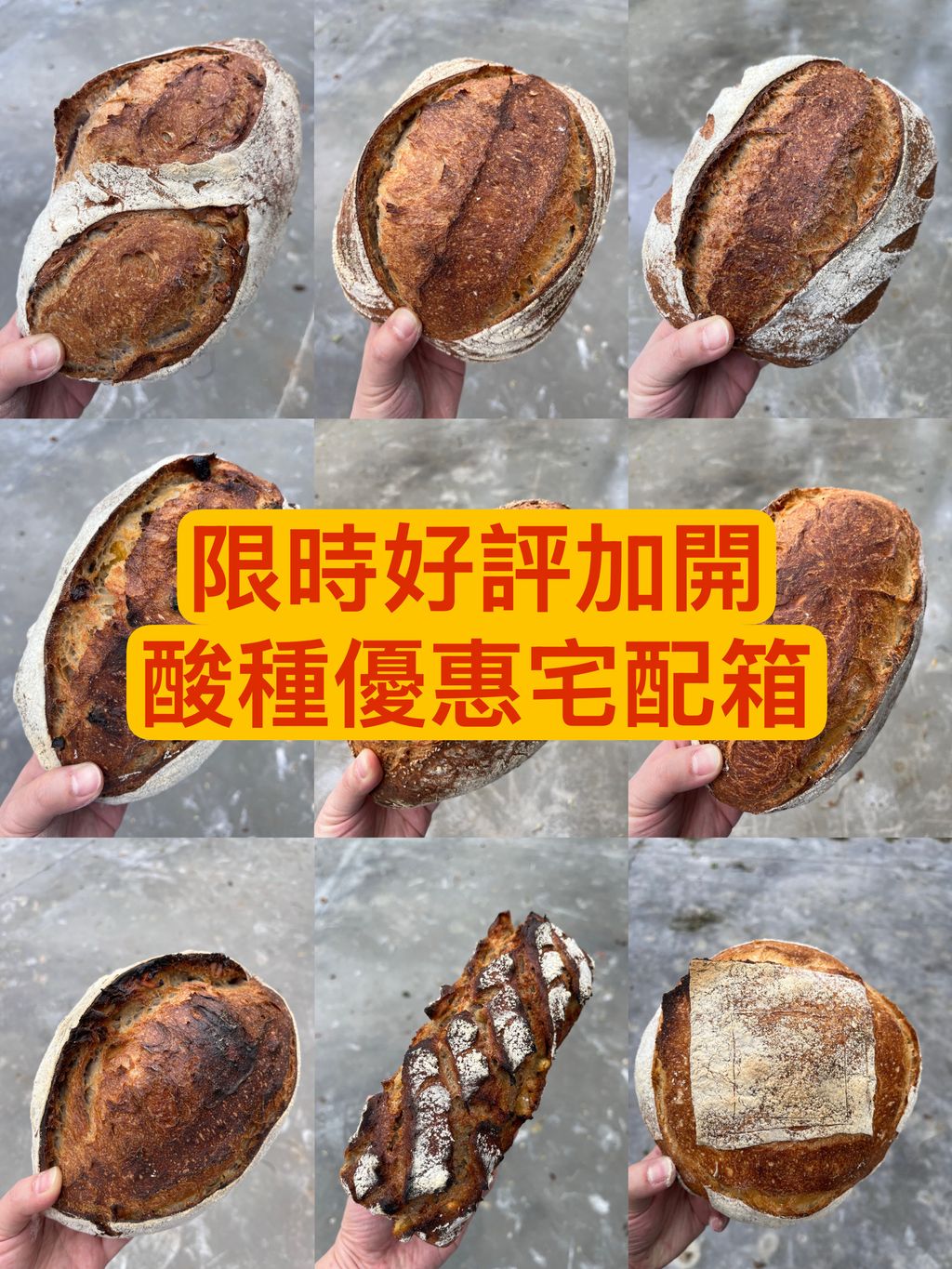 image_C009284C-01F8-4939-89F5-AE4DC818A7D0_1774342553