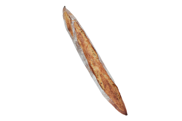 IMG_1746-removebg-preview.png