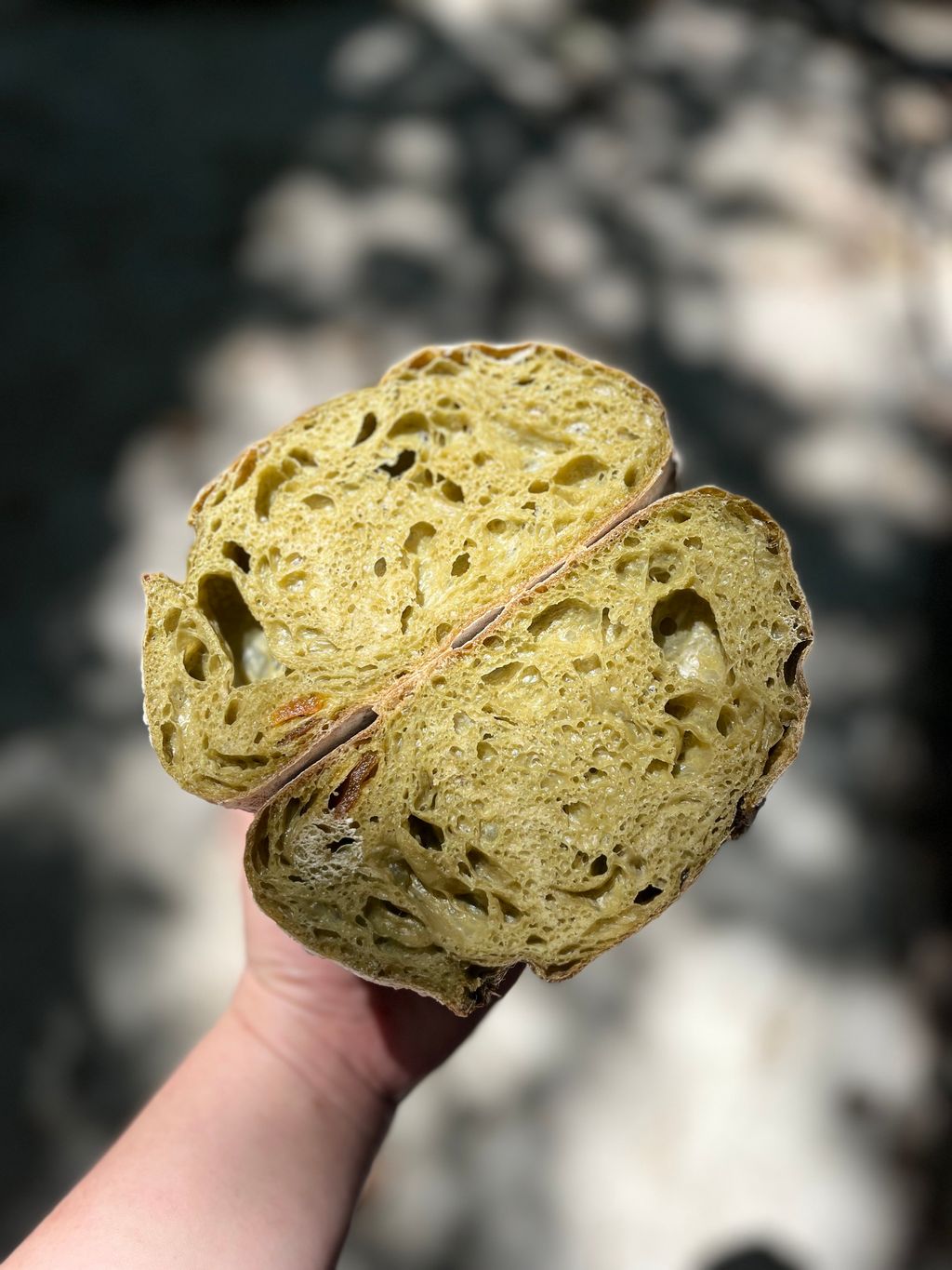 image_1FA7F74B-7428-4ED6-B3F0-37282BEAA7EA_1751823683