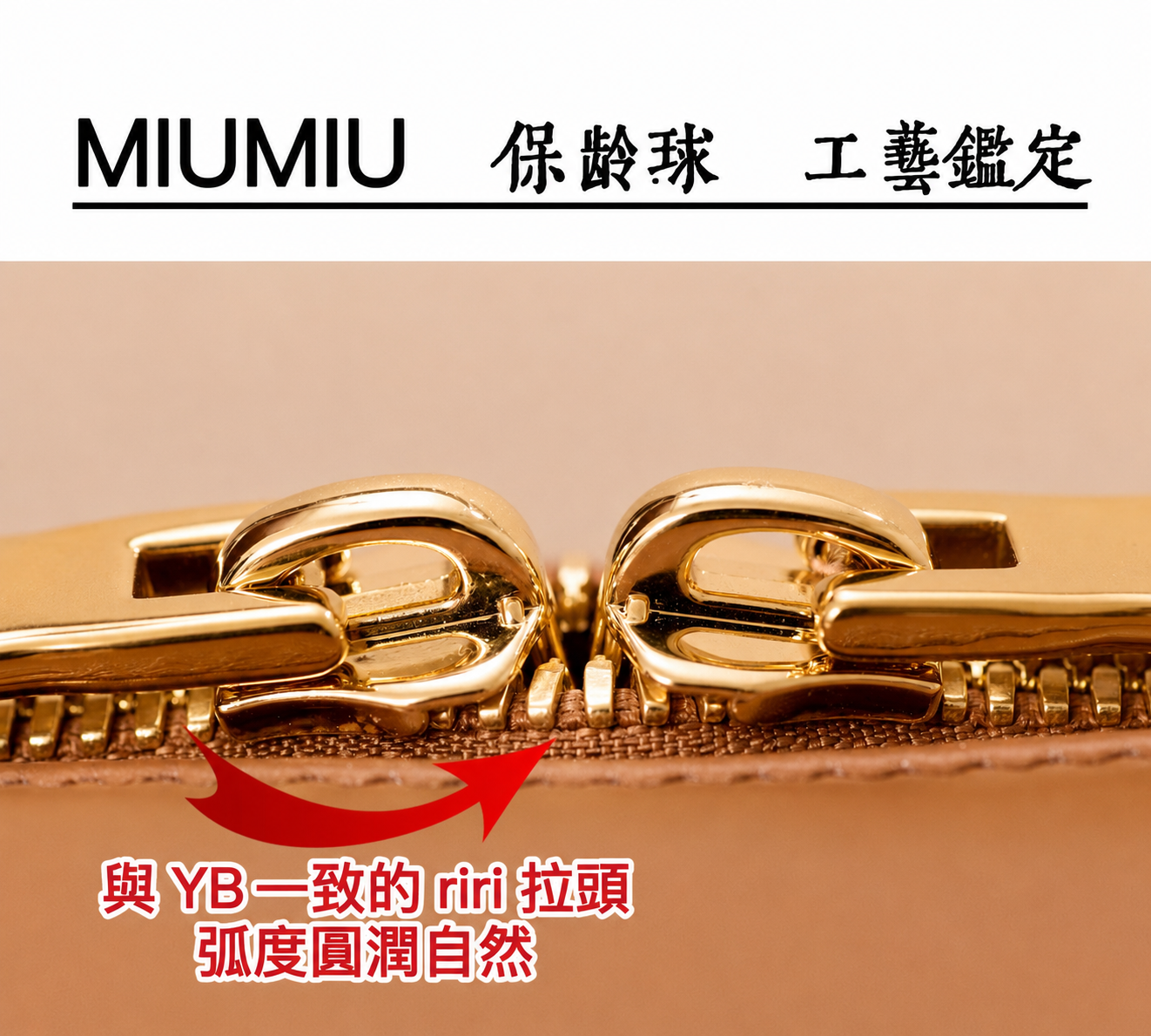 158F9824-F348-4827-A1AB-F12146CCE12C