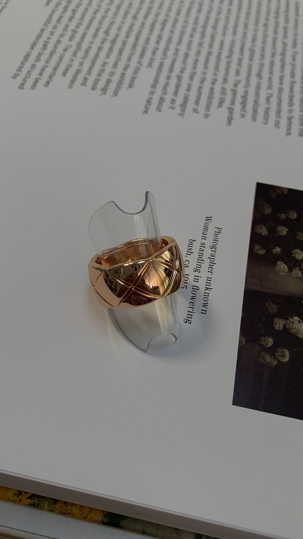 IMG_1433-1715079113016