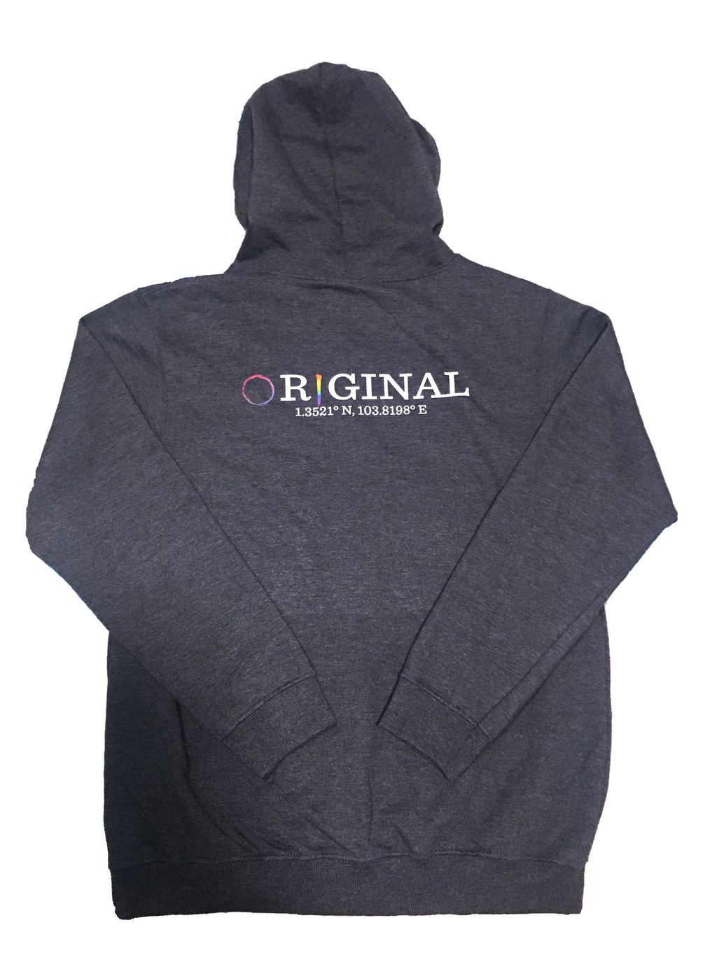 hoodie back.jpg