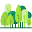 forest.png